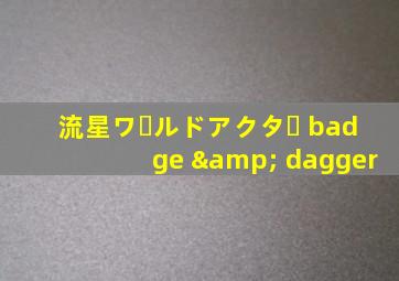 流星ワールドアクター badge & dagger